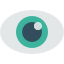 eye